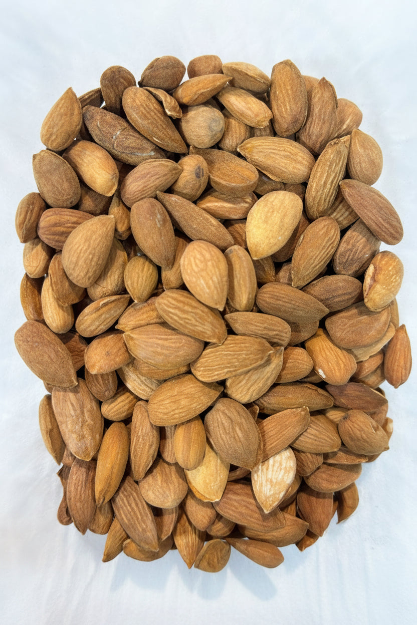 Afghan Almonds (Shahristani)