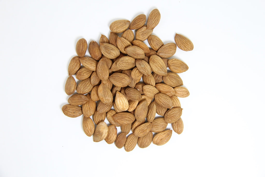 Afghan apricot kernel