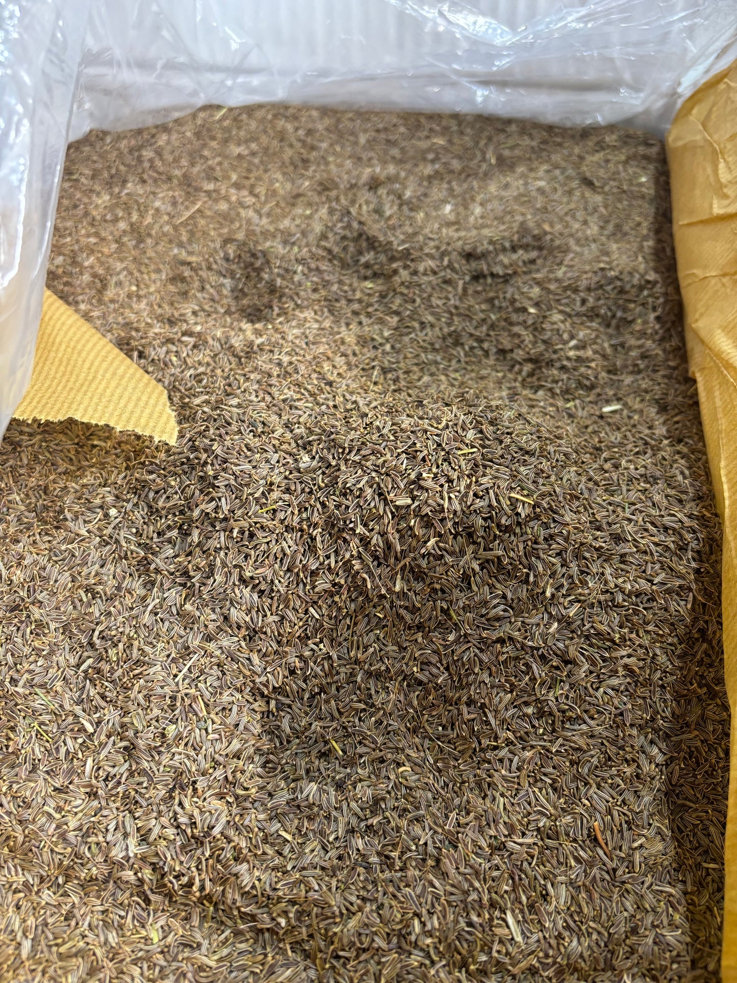 Afghan Black Cumin Seed