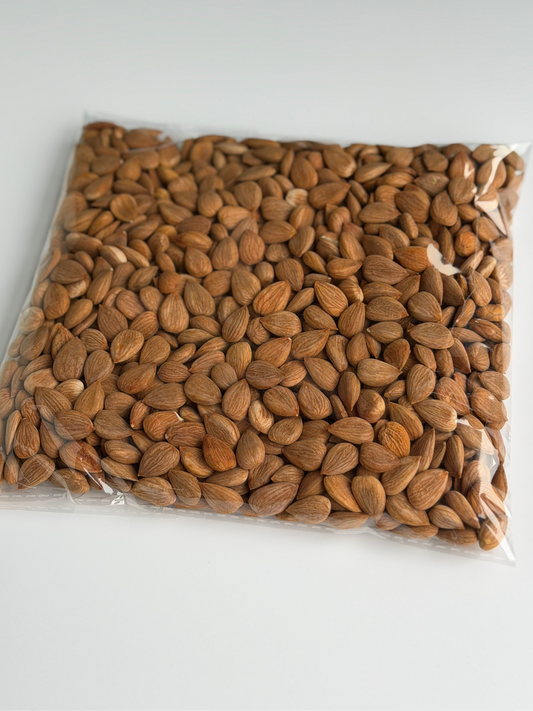 Afghan apricot kernel