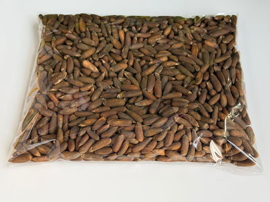 Afghan pine nuts (Roasted)