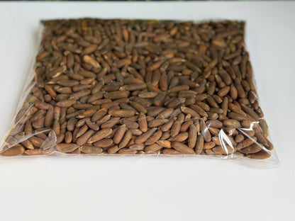 Afghan pine nuts (Roasted)