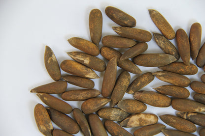 Afghan pine nuts (Roasted)