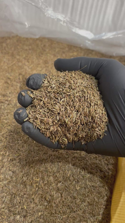 Afghan Black Cumin Seed
